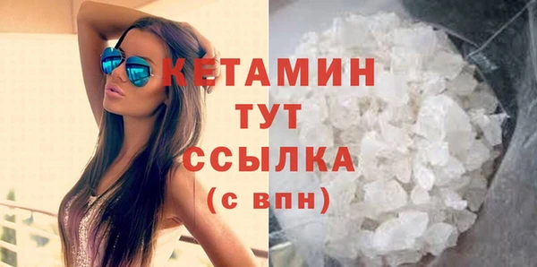 шишки Белокуриха
