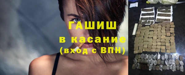 шишки Белокуриха