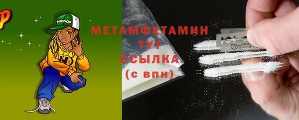 шишки Белокуриха