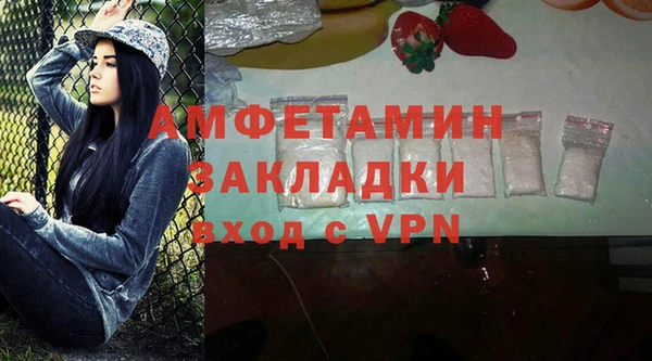 шишки Белокуриха