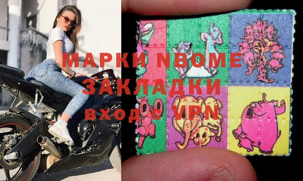 шишки Белокуриха