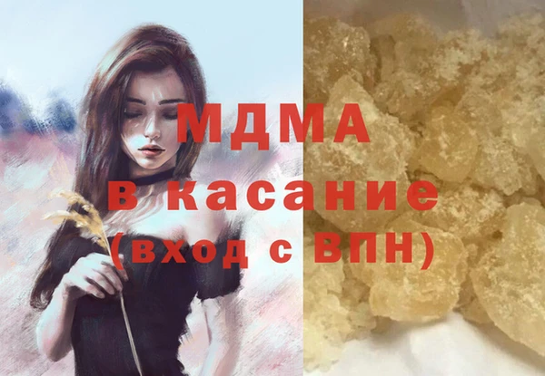 шишки Белокуриха