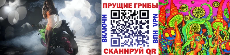 Галлюциногенные грибы мицелий  наркотики  Ахтырский 