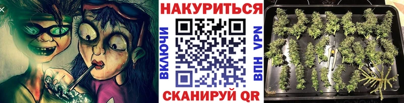 Шишки марихуана THC 21%  купить наркоту  Ахтырский 